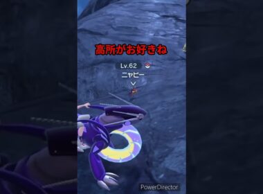【ポケモンバイオレット】やっぱりニャビーさんは高所がお好きなんですね　#ポケモンバイオレット #ゲームリハビリ #切り抜き #shorts