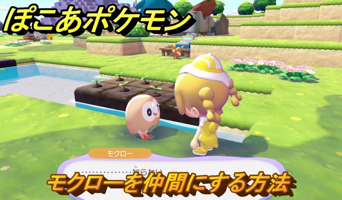 ぽこあポケモン　モクローを仲間にする方法　フレッシュ野菜畑（まっさらな街）　＃３９７　【ぽこポケ】