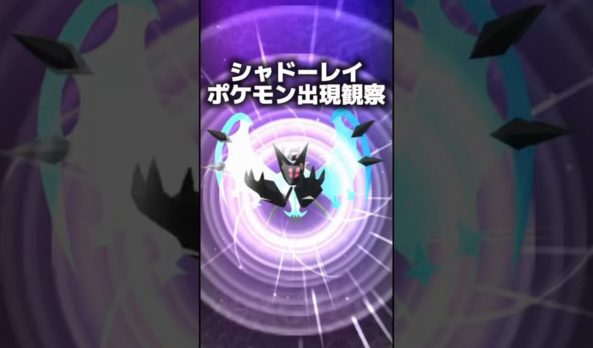 【検証】シャドーレイ10分でイワンコは何匹出る？出現間隔を測ってみた！