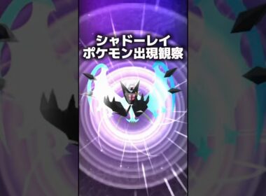 【検証】シャドーレイ10分でイワンコは何匹出る？出現間隔を測ってみた！