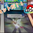 【ポケモンフレンダ】久々のピジョット登場に大興奮！やっとレガシーピックも！？【ベストタッグ5弾】  #ポケモンフレンダ