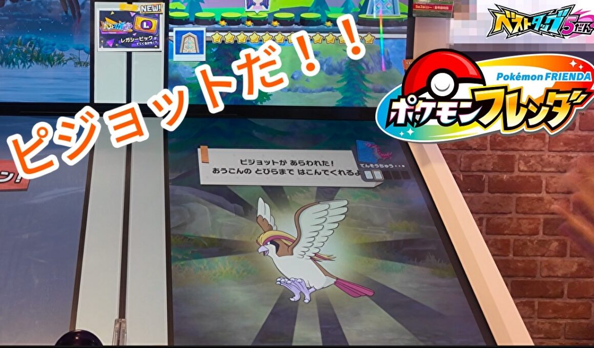 【ポケモンフレンダ】久々のピジョット登場に大興奮！やっとレガシーピックも！？【ベストタッグ5弾】  #ポケモンフレンダ