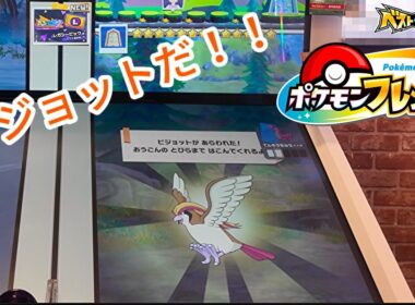 【ポケモンフレンダ】久々のピジョット登場に大興奮！やっとレガシーピックも！？【ベストタッグ5弾】  #ポケモンフレンダ