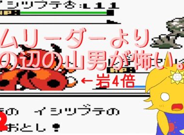 レディアンと輝きたいポケモン銀#2「ジムリーダーよりその辺の山男が怖い。」