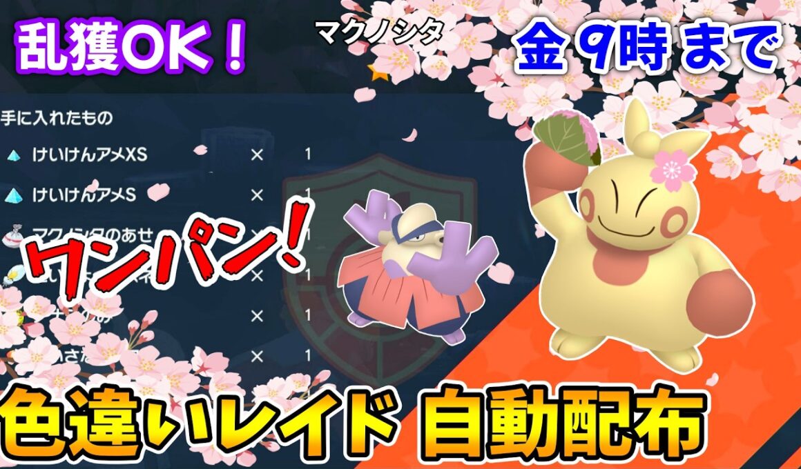乱獲OK！マクノシタ色違いレイド自動配布会！【ポケモンSV】