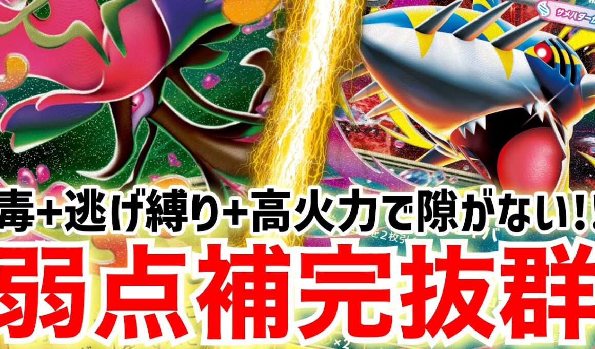 【ポケカ対戦】どんな相手にも対応可能！万能型メガドラミドロexで蹂躙するぞ！【vsメガゲッコウガex】