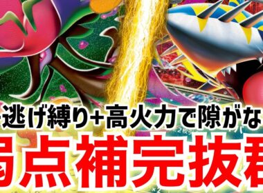 【ポケカ対戦】どんな相手にも対応可能！万能型メガドラミドロexで蹂躙するぞ！【vsメガゲッコウガex】