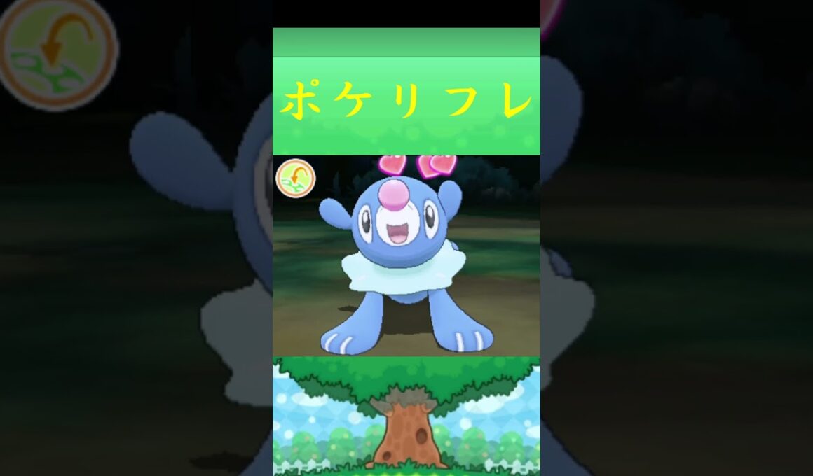 アシマリ*ポケモン ポケリフレ ポケパルレ #ポケモン #Pokemon  #3DS #nintendoswitch #ポケモンsv #ポケモン #キャンプ #サンドイッチ #ピクニック