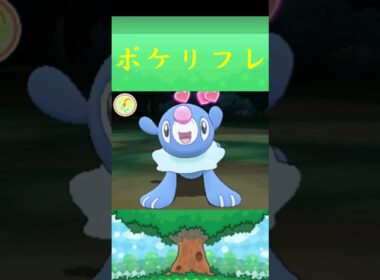 アシマリ*ポケモン ポケリフレ ポケパルレ #ポケモン #Pokemon  #3DS #nintendoswitch #ポケモンsv #ポケモン #キャンプ #サンドイッチ #ピクニック