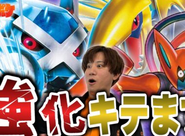 【ポケカ/対戦】実は強化されてます!!新メンバーを加えたダイゴのメタグロスは知らないと負け⁉【VSドラパルト】