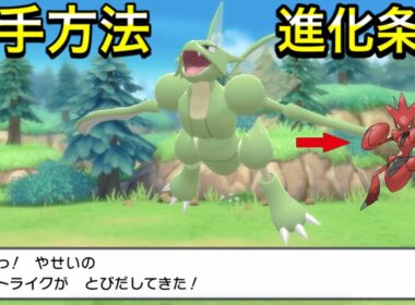 【ダイパリメイク】ストライクの入手方法！ハッサムへの進化条件も解説！【出現場所】