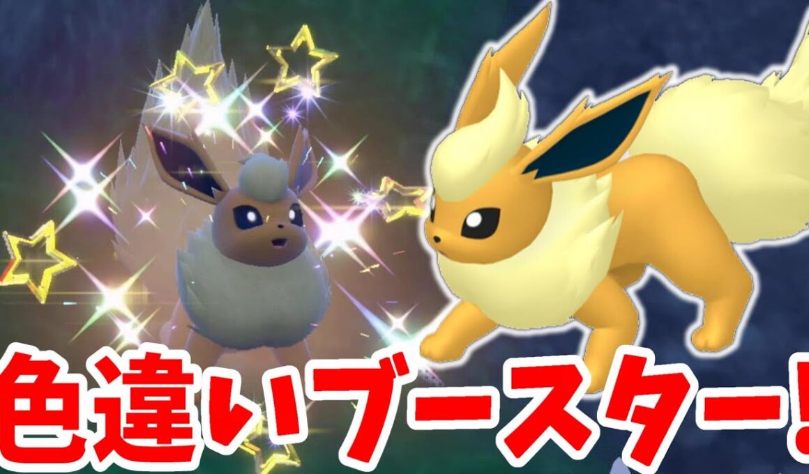 【ポケモンSV】色違いブースターがついに！夢の色違いイーブイズを目指して！【ポケモンスカーレットバイオレット】