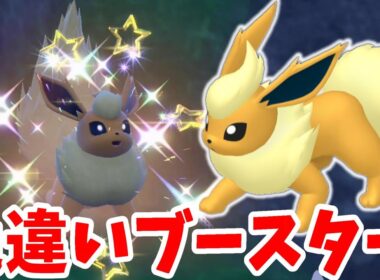 【ポケモンSV】色違いブースターがついに！夢の色違いイーブイズを目指して！【ポケモンスカーレットバイオレット】