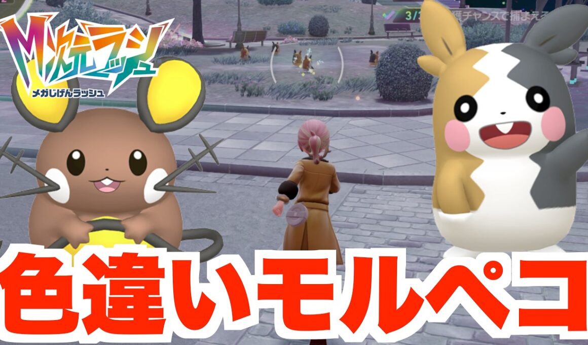 【ポケモンZA】色違いモルペコを探そう！【DLC「M次元ラッシュ」】
