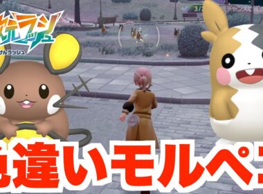【ポケモンZA】色違いモルペコを探そう！【DLC「M次元ラッシュ」】