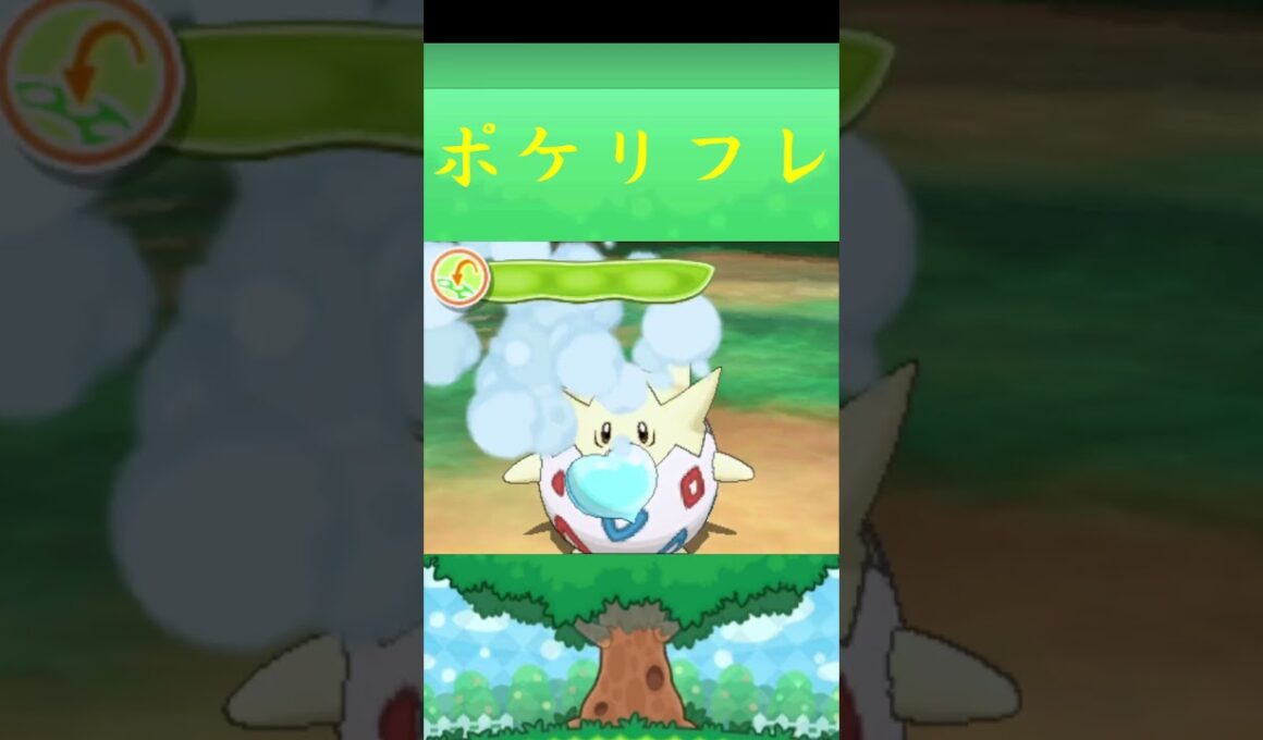 トゲピー*ポケモン ポケリフレ ポケパルレ #ポケモン #Pokemon  #3DS #nintendoswitch #ポケモンsv #ポケモン #キャンプ #サンドイッチ #ピクニック