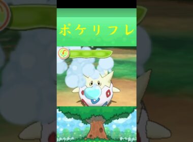 トゲピー*ポケモン ポケリフレ ポケパルレ #ポケモン #Pokemon  #3DS #nintendoswitch #ポケモンsv #ポケモン #キャンプ #サンドイッチ #ピクニック