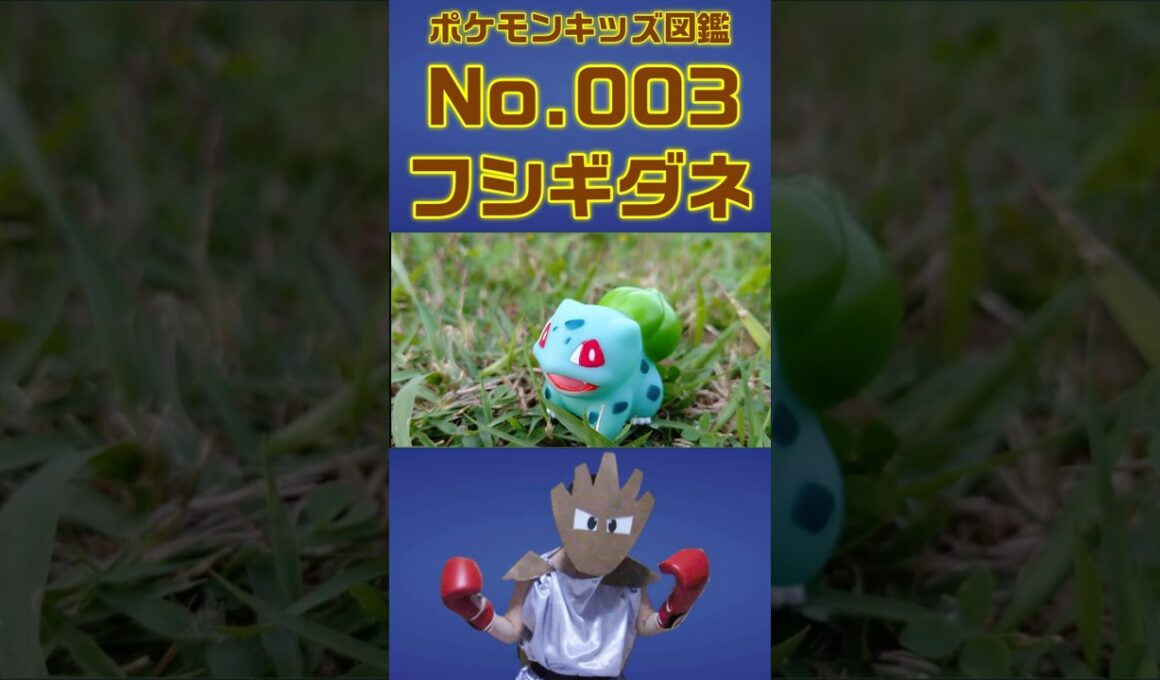 ポケモンキッズ図鑑No 003フシギダネ #ポケモンキッズ #フシギダネ