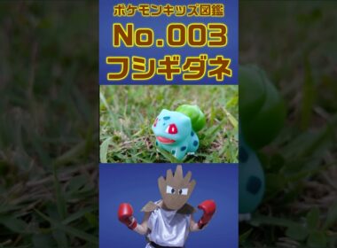 ポケモンキッズ図鑑No 003フシギダネ #ポケモンキッズ #フシギダネ