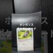 ホシガリスのカードです。 #ポケモンカード