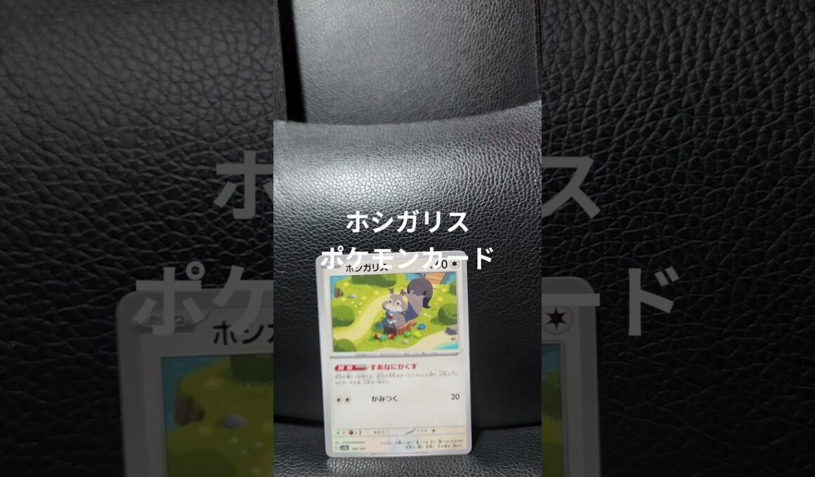 ホシガリスのカードです。 #ポケモンカード