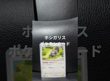 ホシガリスのカードです。 #ポケモンカード