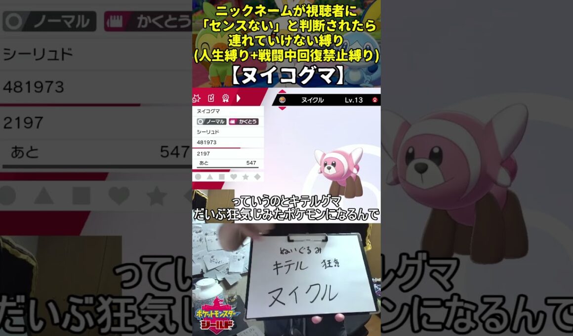 【ポケモン剣盾】ハイセンスニックネーム人生縛り命名集(ヌイコグマ)【Twitch配信】