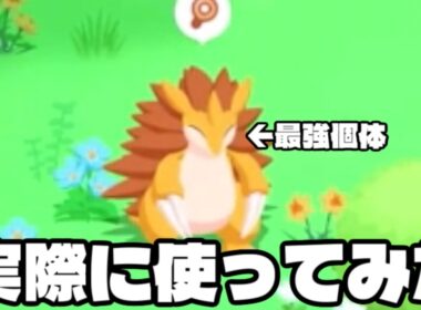 最強サンドパン使ってみたら・・・？【ポケモンスリープ】
