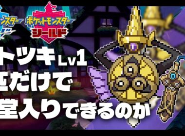 ヒトツキLv1(ギルガルド)が最初のポケモンだったら1匹だけで剣盾殿堂入りできる？【ソードシール/剣盾/ギルガルド】