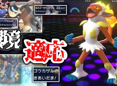 挑発＆ステロで初手適性〇！初手ステロ環境に、このゴウカザルが刺さります。【ポケモンチャンピオンズ】