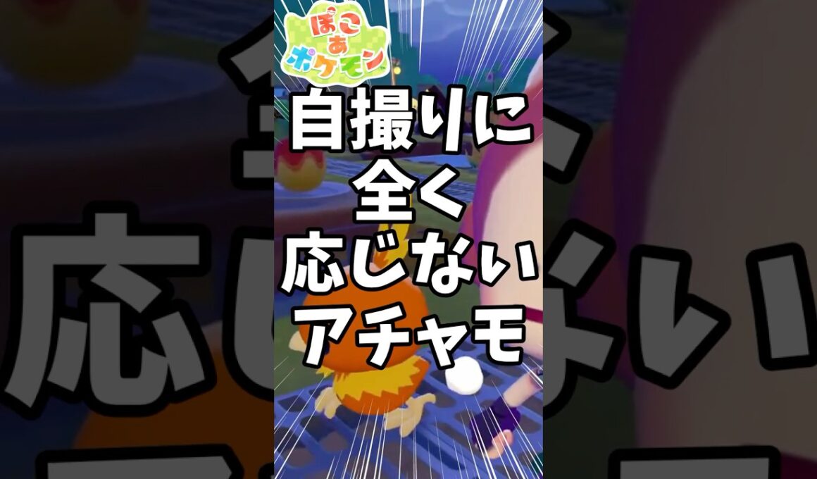 【ぽこ あ ぽけもん】全く写真に応じてくれないアチャモ #ぽこあぽけもん #switch2 #ポケモン