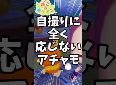 【ぽこ あ ぽけもん】全く写真に応じてくれないアチャモ #ぽこあぽけもん #switch2 #ポケモン