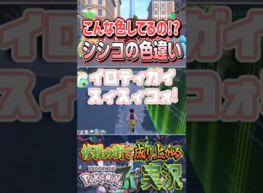 【色違い】シシコの色違いが想像以上でテンションめっちゃ上がった!  | ポケモンレジェンズZA #shorts