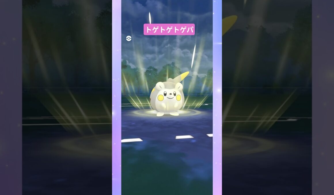 【ファンタジーカップ】トゲ×3パーティー #pokemongo  #バトルリーグ #ポケモンgo #トゲチック #トゲキッス #トゲチマル