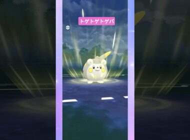 【ファンタジーカップ】トゲ×3パーティー #pokemongo  #バトルリーグ #ポケモンgo #トゲチック #トゲキッス #トゲチマル