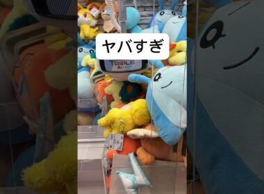 こんなお店増えてほしい！　#クレーンゲーム #ufoキャッチャー #ユーフォーキャッチャー #ゲームセンター #games #pokemon #ポケモン#ポケットモンスター#ロトム#ヒノアラシ