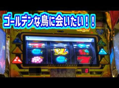 カピバラくん　GWにゴールデンな鳥に会いたい！アレックスブライト＃パチスロ動画
