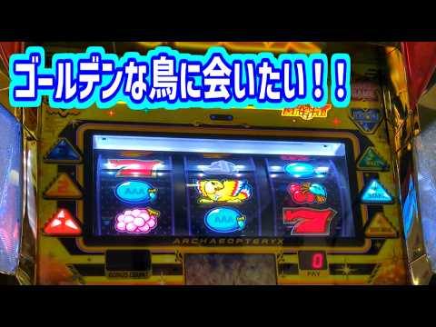 カピバラくん　GWにゴールデンな鳥に会いたい！アレックスブライト＃パチスロ動画