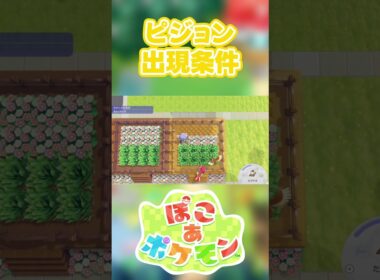 【ぽこあポケモン】ピジョンの出現条件を徹底解説！#shorts