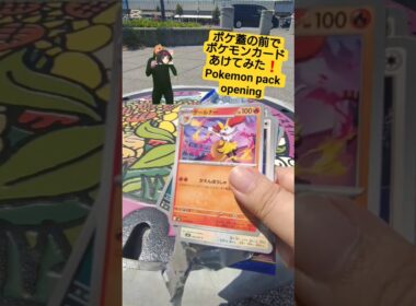 【ポケカ】ポケ蓋キマワリの前でポケモンカード最新弾ニンジャスピナー開封して忍者ゲッコウガ狙う Pokemon pack opening #shorts