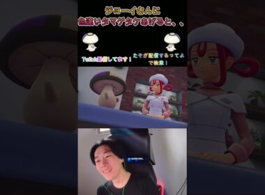 ジョーイさんに色違いタマゲタケをあげると・・#ポケモン　#ZA　#サブミッション