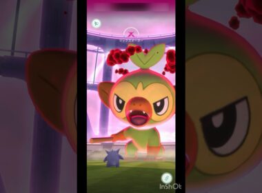 マックスバトル「 ダイマックス サルノリ 」【 ポケモンgo 】仕草はデカくなってもかわいいね #ポケモン #pokemon #ポケモンgo #pokemongo #サルノリ