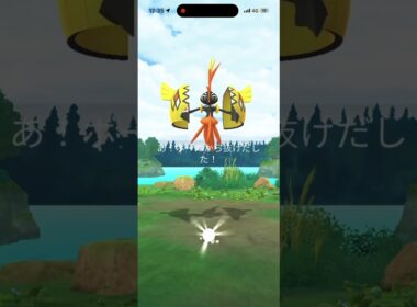 【ポケモンGO】カプ・コケコレイドバトル