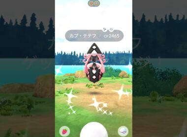 色違いカプ・テテフ出現✨レイドバトル【ポケモンGO】