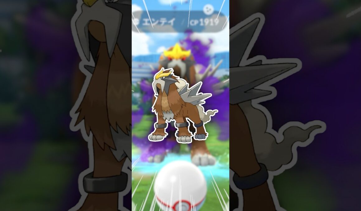 どうして、エンテイで豪運なんだー！【ポケモンGO】
