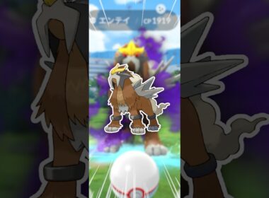 どうして、エンテイで豪運なんだー！【ポケモンGO】