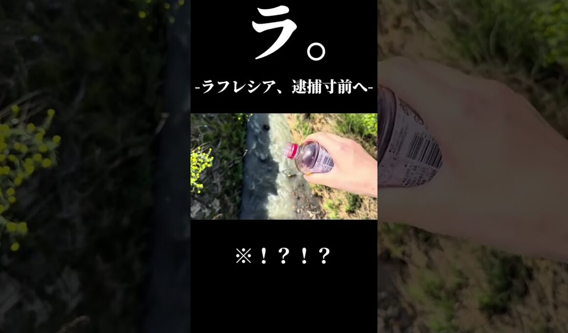 純白の天使ラフレシアヤバすぎる件 #良かったらチャンネル登録してくれると嬉しい #良かったらチャンネル登録してくれると嬉しい