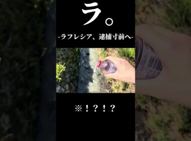 純白の天使ラフレシアヤバすぎる件 #良かったらチャンネル登録してくれると嬉しい #良かったらチャンネル登録してくれると嬉しい