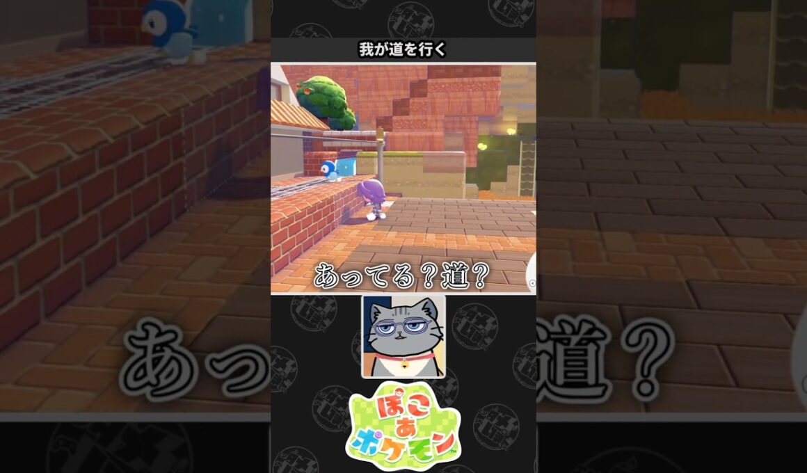 【ぽこ あ ポケモン】我が道を行くポッチャマに憧れるネコVtuber
