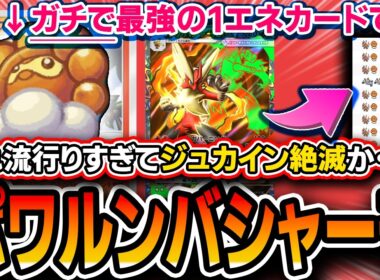 【ポケポケ】爆流行り中。≪1エネ界最強≫のカードを手に入れた〝晴れポワルンメガバシャーモ〟が最強デッキに名乗りをあげる・・・！【波動ビート】